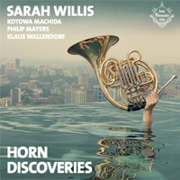 Horn Discoveries
