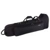 δPRO PAC