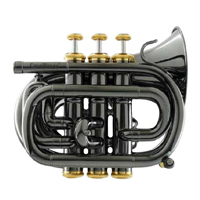 ޶ӥСPT-1000-YSS-Bb-SG