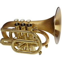 ޶СCPT-3000-SLB(D)