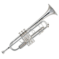 ͹רҵСBach 190S37