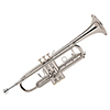 BACH͹TR300H2SС