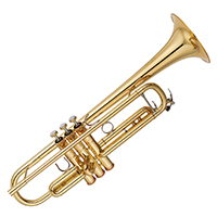 ������С��YTR-8335LA