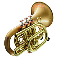 ޶СCPT-3002-RLM(D)-Bb-SLB