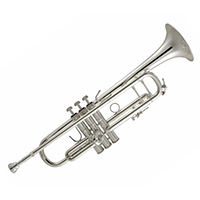 BACH�͹�רҵ��С��180S37