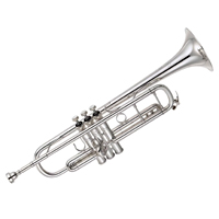 ������ŦԼ������С��YTR-9335NYS-BR